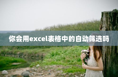 你会用excel表格中的自动筛选吗