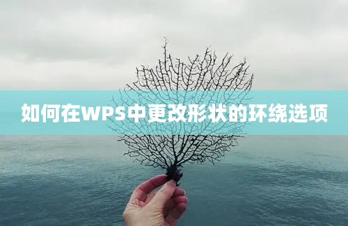 如何在WPS中更改形状的环绕选项