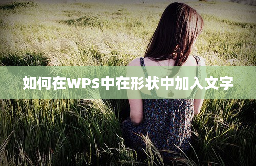 如何在WPS中在形状中加入文字