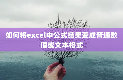 如何将excel中公式结果变成普通数值或文本格式