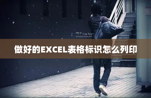 做好的EXCEL表格标识怎么列印