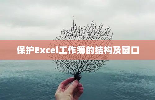 保护Excel工作簿的结构及窗口