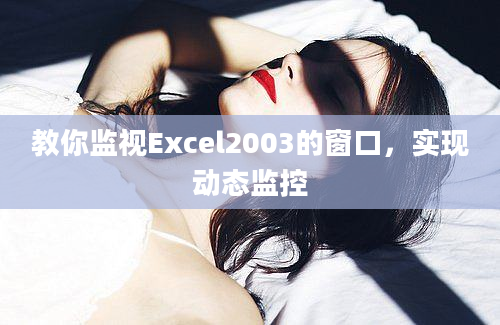 教你监视Excel2003的窗口，实现动态监控