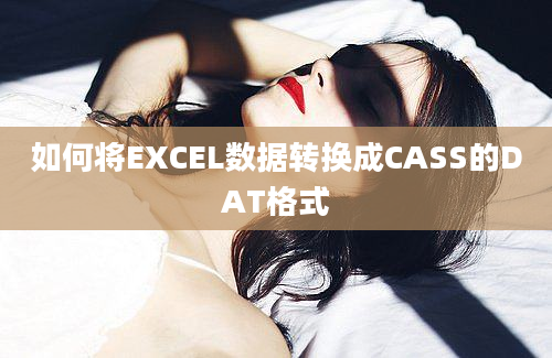 如何将EXCEL数据转换成CASS的DAT格式