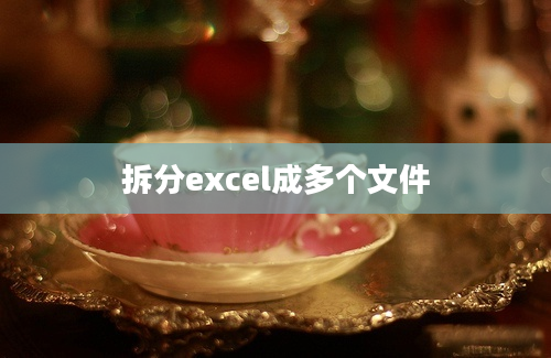 拆分excel成多个文件