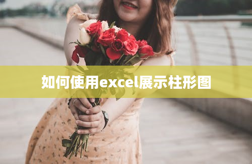 如何使用excel展示柱形图