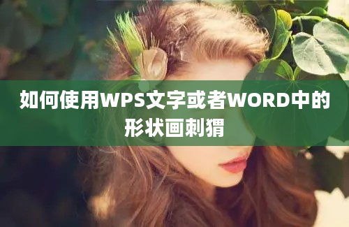 如何使用WPS文字或者WORD中的形状画刺猬