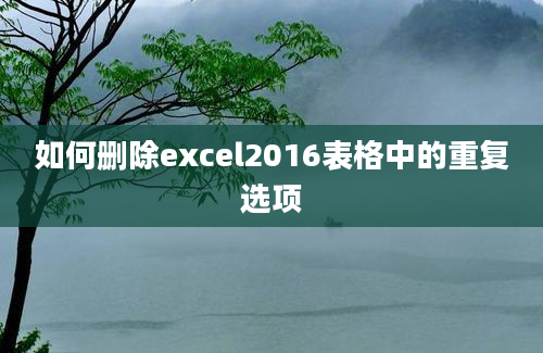 如何删除excel2016表格中的重复选项