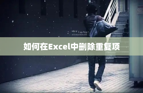 如何在Excel中删除重复项