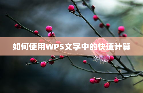 如何使用WPS文字中的快速计算