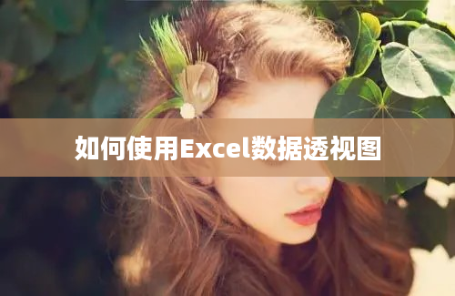 如何使用Excel数据透视图