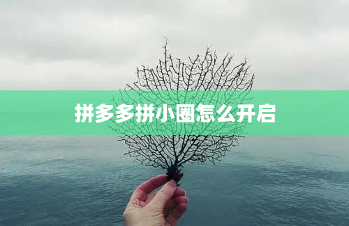 拼多多拼小圈怎么开启