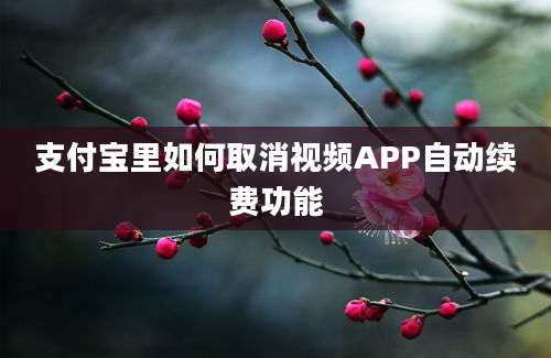 支付宝里如何取消视频APP自动续费功能