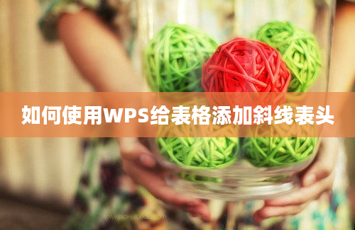 如何使用WPS给表格添加斜线表头