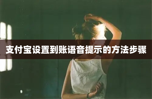 支付宝设置到账语音提示的方法步骤