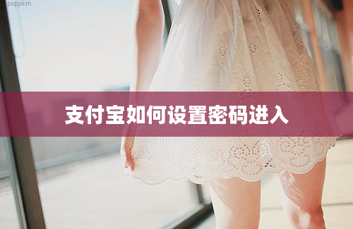 支付宝如何设置密码进入