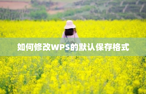 如何修改WPS的默认保存格式