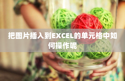 把图片插入到EXCEL的单元格中如何操作呢