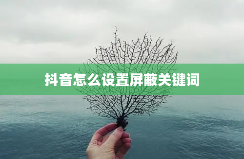 抖音怎么设置屏蔽关键词