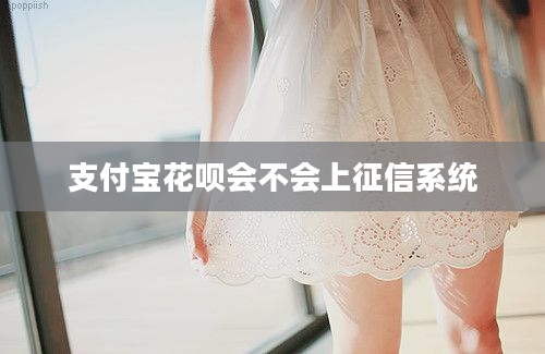 支付宝花呗会不会上征信系统