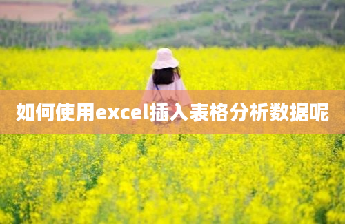 如何使用excel插入表格分析数据呢