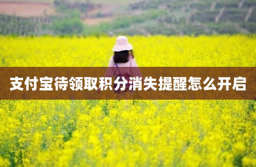 支付宝待领取积分消失提醒怎么开启