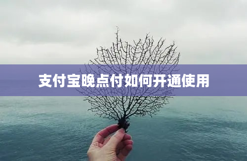 支付宝晚点付如何开通使用