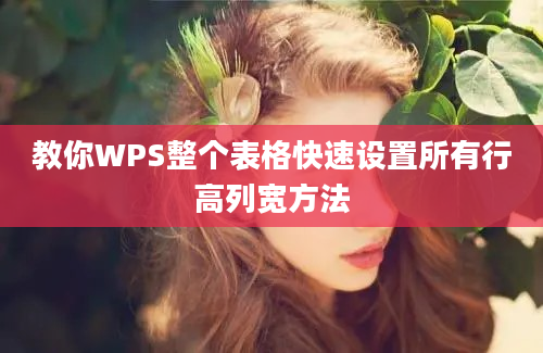 教你WPS整个表格快速设置所有行高列宽方法