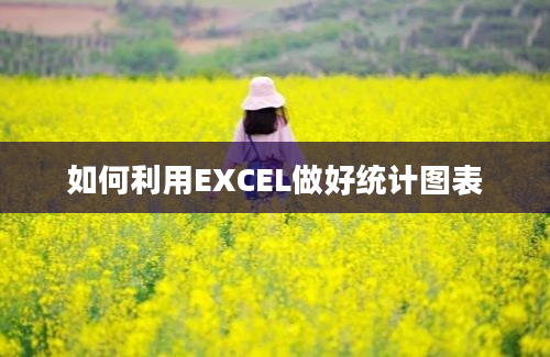 如何利用EXCEL做好统计图表