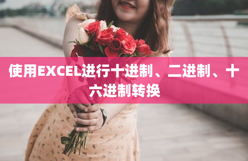 使用EXCEL进行十进制、二进制、十六进制转换