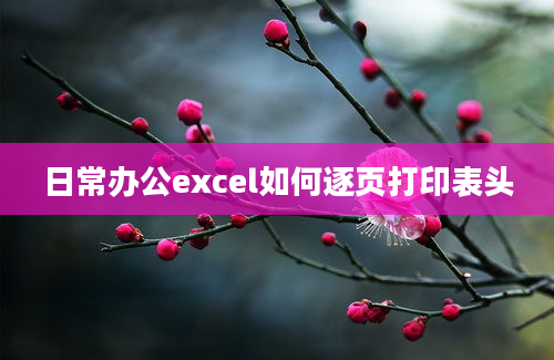 日常办公excel如何逐页打印表头