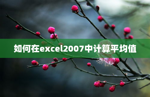 如何在excel2007中计算平均值