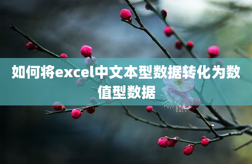 如何将excel中文本型数据转化为数值型数据