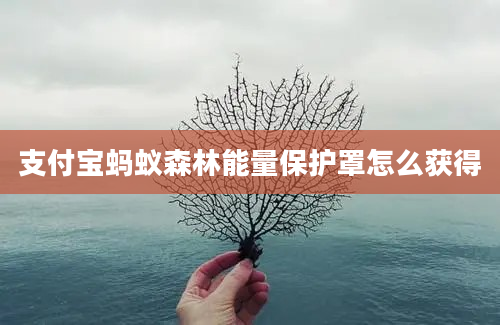 支付宝蚂蚁森林能量保护罩怎么获得