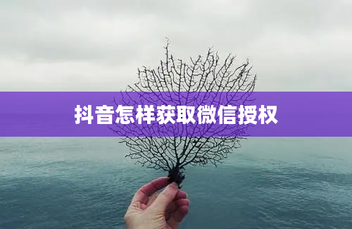 抖音怎样获取微信授权