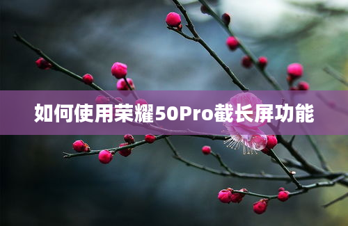 如何使用荣耀50Pro截长屏功能