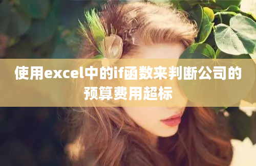 使用excel中的if函数来判断公司的预算费用超标