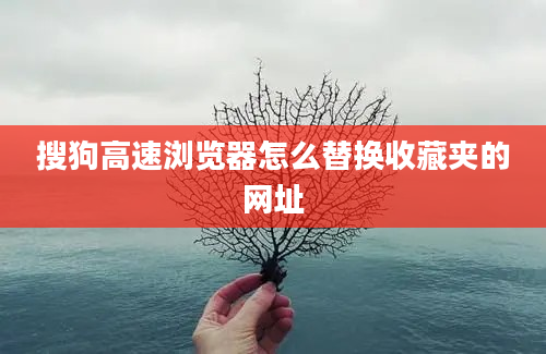 搜狗高速浏览器怎么替换收藏夹的网址