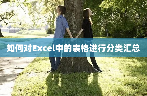 如何对Excel中的表格进行分类汇总