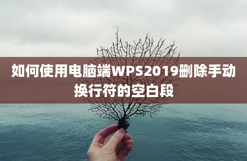 如何使用电脑端WPS2019删除手动换行符的空白段