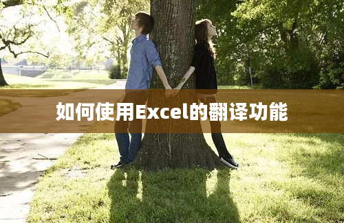 如何使用Excel的翻译功能