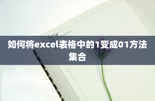 如何将excel表格中的1变成01方法集合