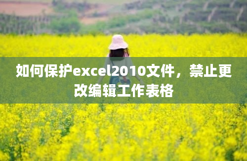 如何保护excel2010文件，禁止更改编辑工作表格