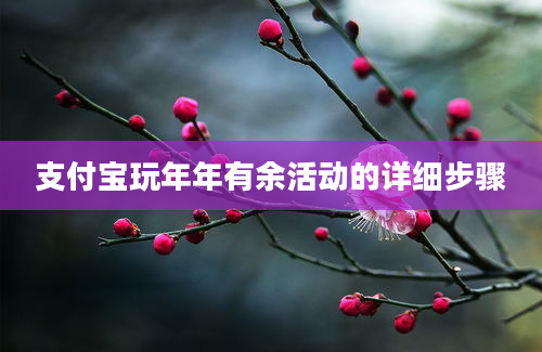 支付宝玩年年有余活动的详细步骤