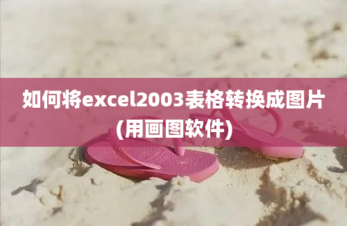 如何将excel2003表格转换成图片(用画图软件)