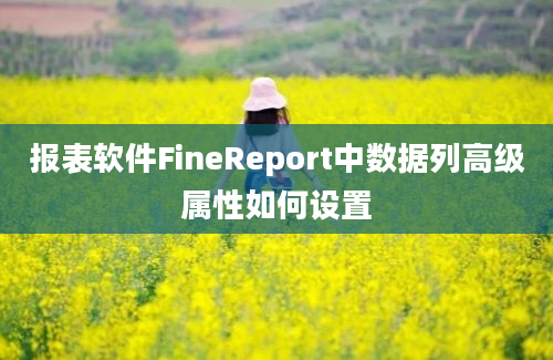 报表软件FineReport中数据列高级属性如何设置