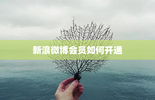 新浪微博会员如何开通