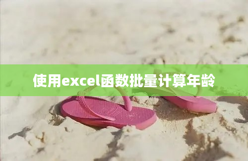 使用excel函数批量计算年龄