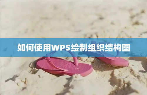 如何使用WPS绘制组织结构图