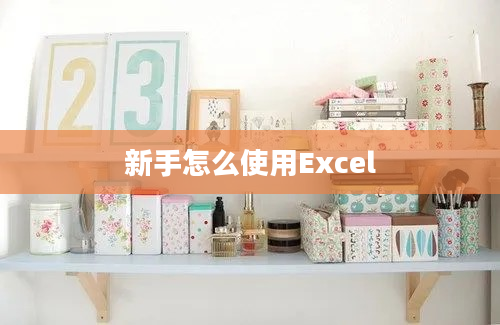 新手怎么使用Excel